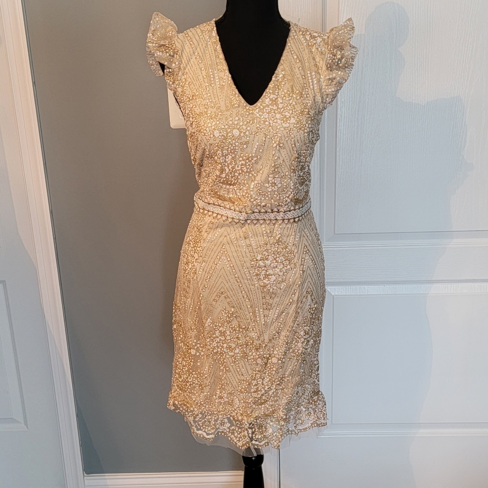 New - Southern Fried Chics Cocktail Dress with beautiful sparkle